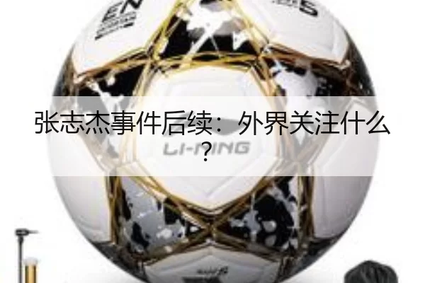 张志杰事件后续：外界关注什么？